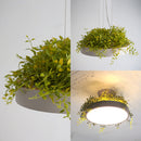 LED Giorno ジョルノ シーリング ペンダントランプ