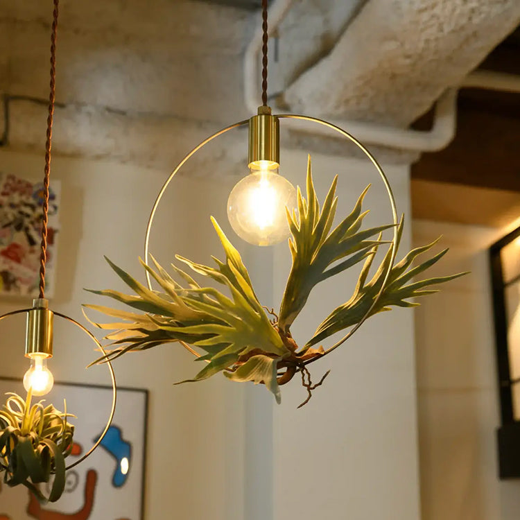 BOTANIC HANGING WIRERING LIGHT M ペンダントライト