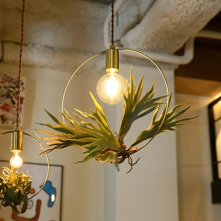 BOTANIC HANGING WIRERING LIGHT M ペンダントライト