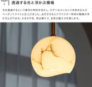 ペンダントライト 1灯 カルヴィア