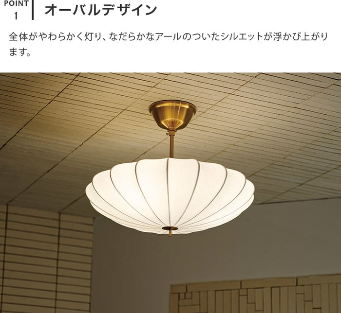 a15lt-4409_5_700x.jpg?v=1713944220