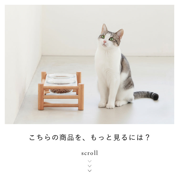 aina ペットフードスタンド ilmaa