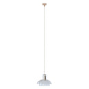 schon ペンダントライト 1灯  Blume ブルーメ