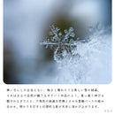 pelata ペンダントライト kristalli クリスターリ