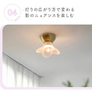 pelata シーリングライト1灯 lilac ライラック