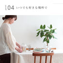 schon テーブルライト qualle クヴァレ