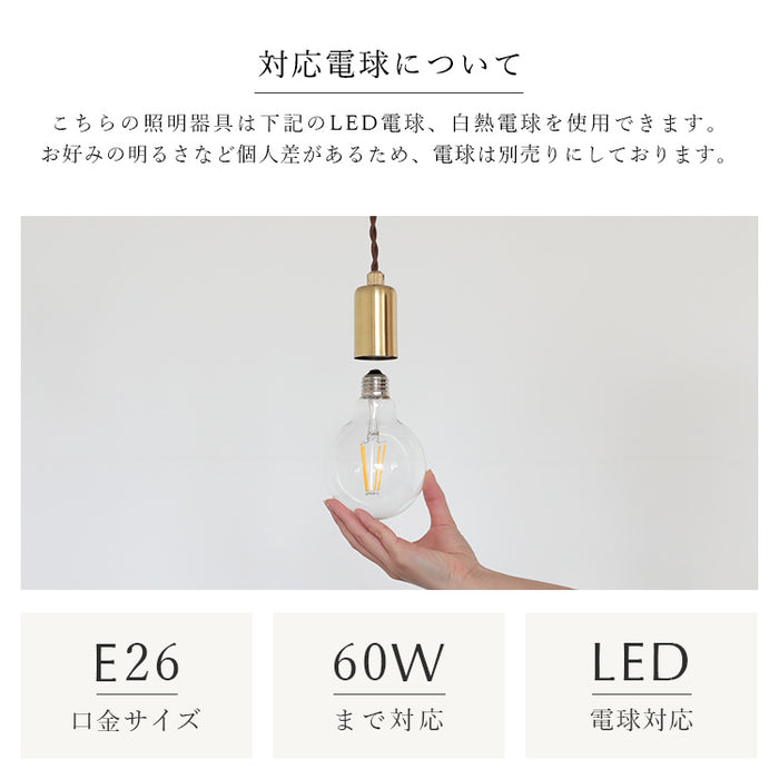 ペンダントライト 1灯 regen レーゲン schon シェーン【ダクトレール用