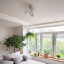 シーリングライト 3灯 TINY GLASS CEILING LIGHT 3 タイニーガラス