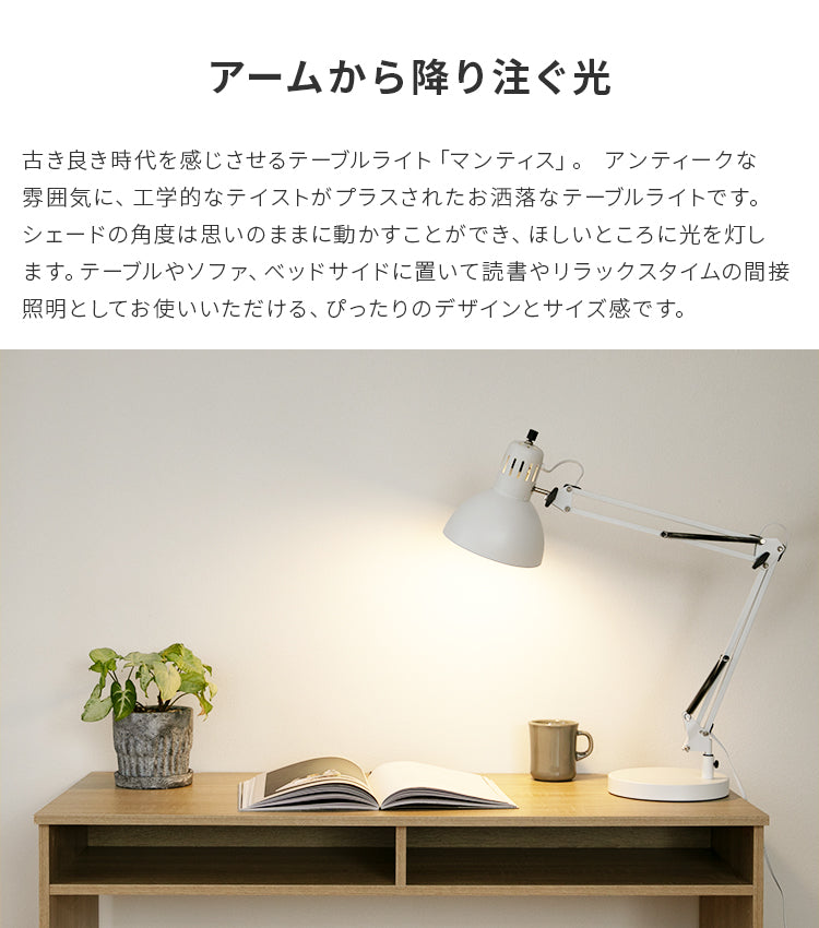 テーブルライト 1灯 マンティス