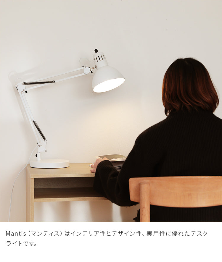 テーブルライト 1灯 マンティス