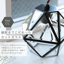 ペンダントライト 1灯 レイヴァ