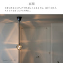 ペンダントライト 1灯 レイヴァ