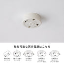 ペンダントライト 1灯 ベイル