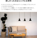 ペンダントライト 1灯 アロンザ