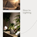 スポットライト 1灯 レダクリップ