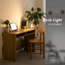 スポットライト 1灯 レダクリップ