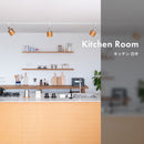 スポットライト 1灯 レダダクト