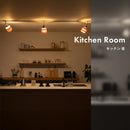 スポットライト 1灯 レダダクト