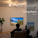 スポットライト 1灯 レダダクト