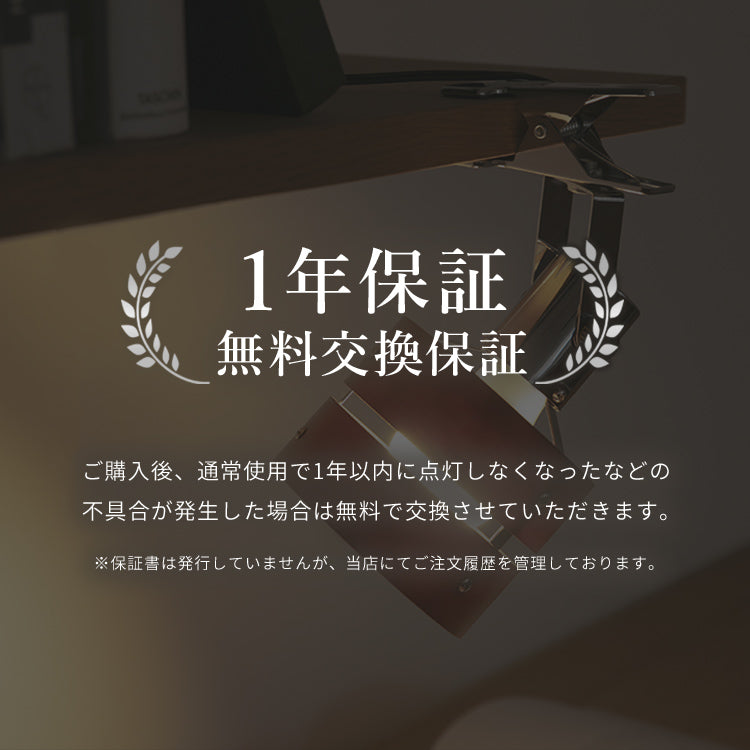 スポットライト 1灯 レダクリップ