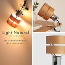 スポットライト 1灯 レダクリップ