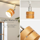 スポットライト 1灯 レダダクト