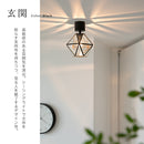 シーリングライト 1灯 レイヴァ