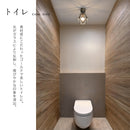 シーリングライト 1灯 レイヴァ