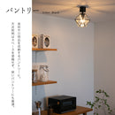 シーリングライト 1灯 レイヴァ