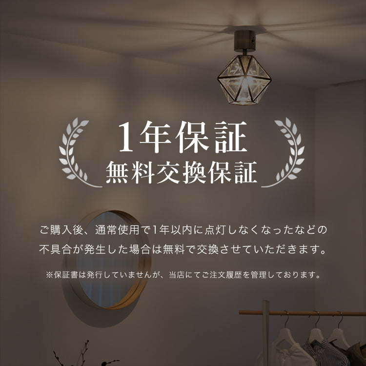 シーリングライト 1灯 レイヴァ