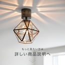 シーリングライト 1灯 レイヴァ