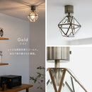 シーリングライト 1灯 レイヴァ