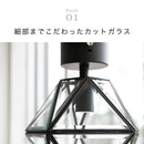 シーリングライト 1灯 レイヴァ