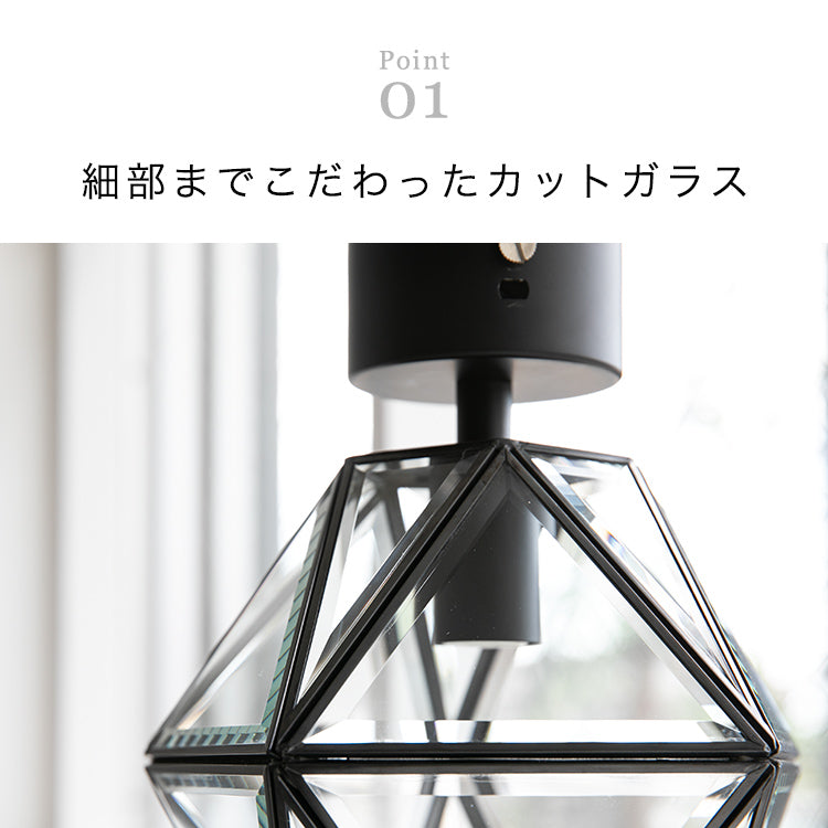 シーリングライト 1灯 レイヴァ
