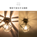 シーリングライト 1灯 レイヴァ