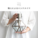 シーリングライト 1灯 レイヴァ