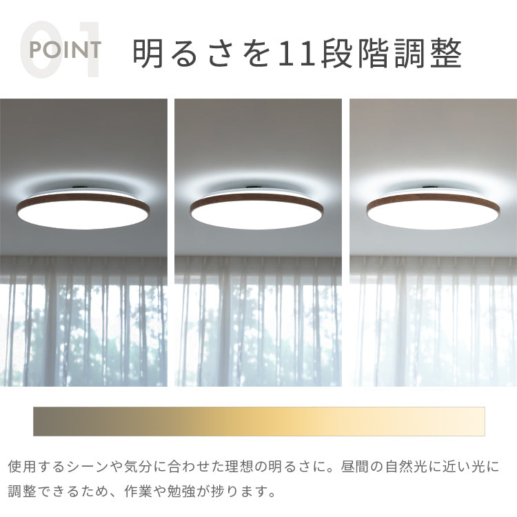 LEDシーリングライト ルクサンク 12畳用