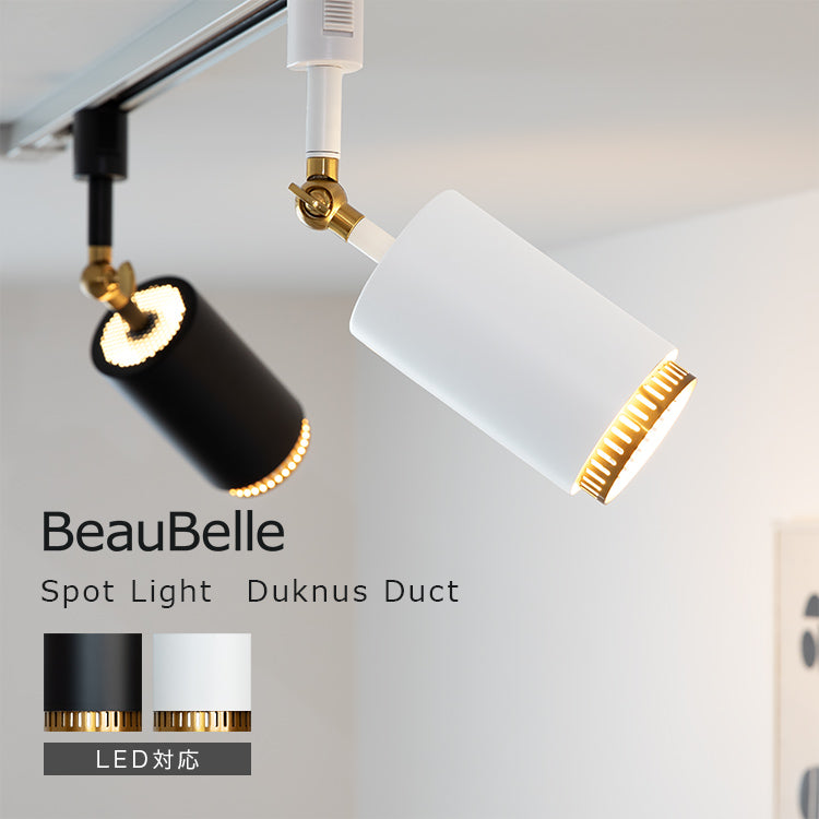 スポットライト 1灯 ダクナスダクト
