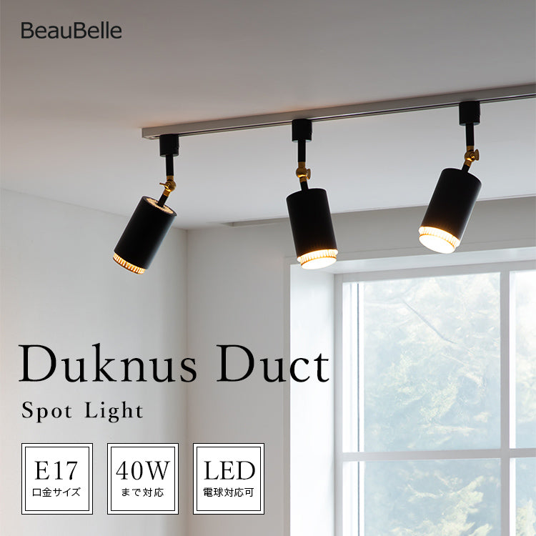 スポットライト 1灯 ダクナスダクト