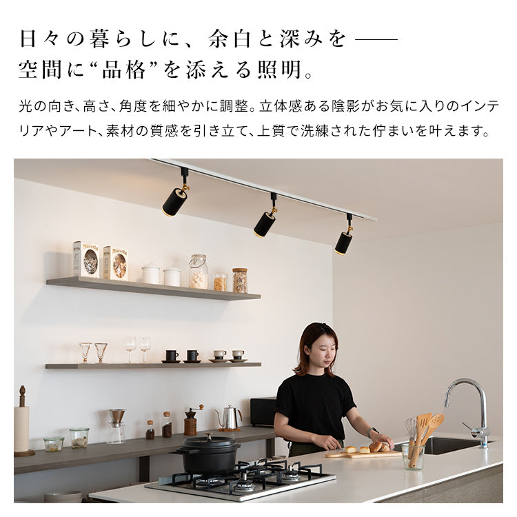 スポットライト 1灯 ダクナスダクト