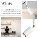 スポットライト 1灯 ダクナスダクト