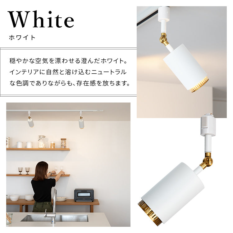 スポットライト 1灯 ダクナスダクト