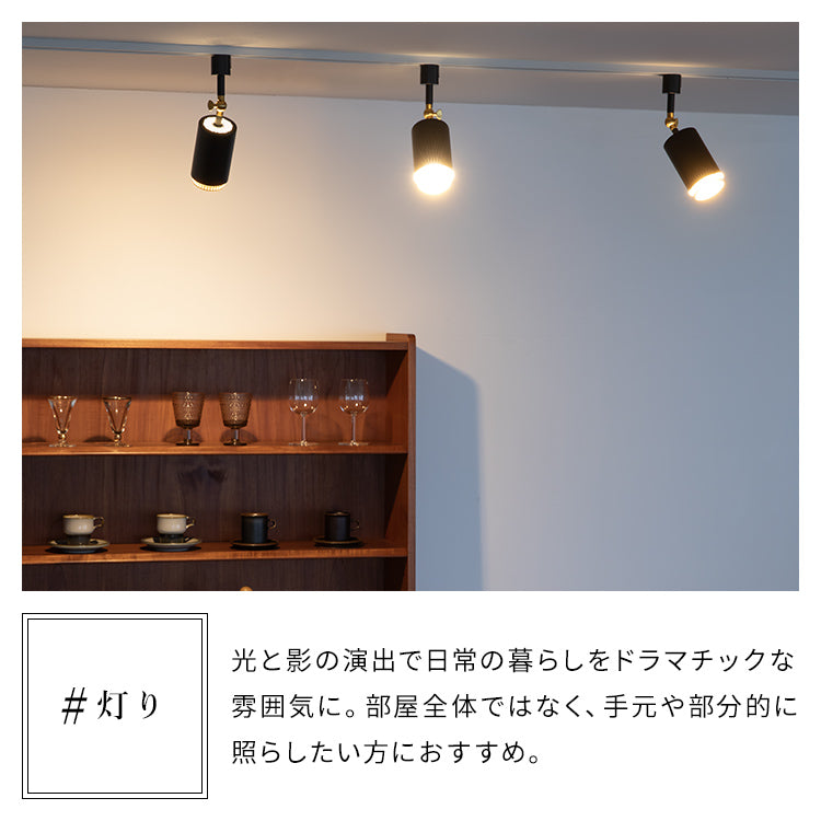 スポットライト 1灯 ダクナスダクト