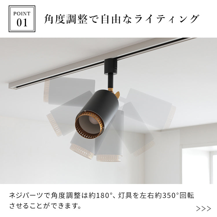 スポットライト 1灯 ダクナスダクト