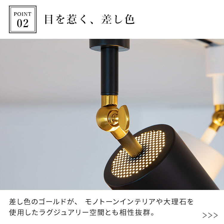 スポットライト 1灯 ダクナスダクト