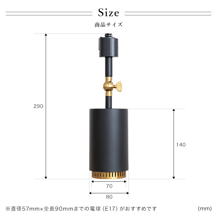 スポットライト 1灯 ダクナスダクト