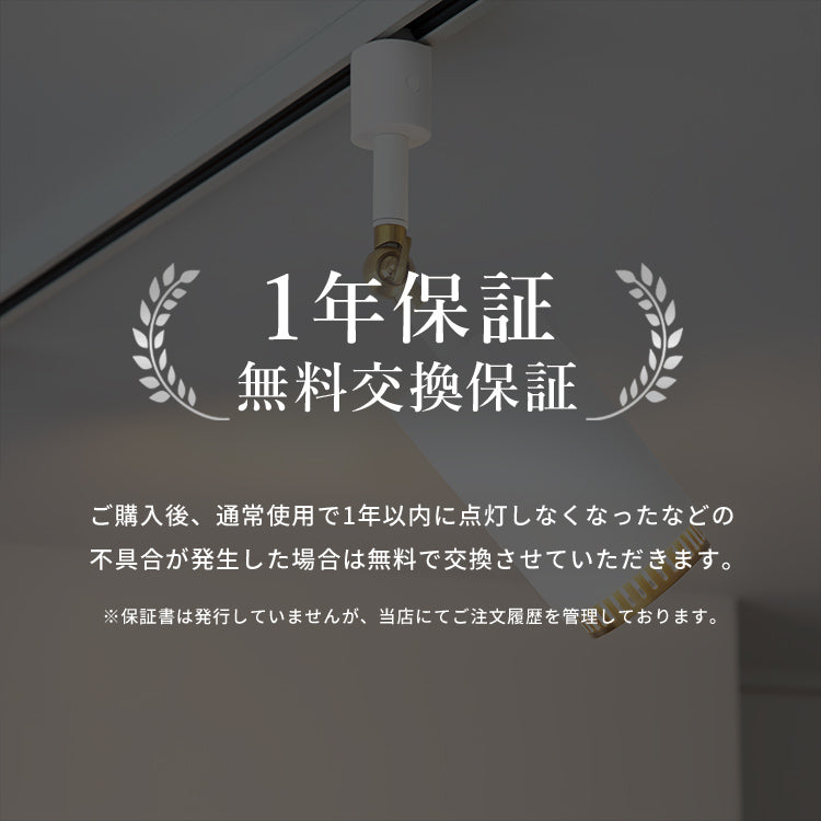 スポットライト 1灯 ダクナスダクト