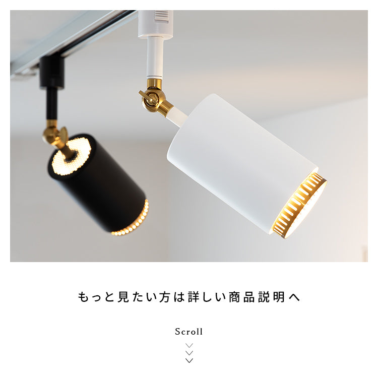 スポットライト 1灯 ダクナスダクト