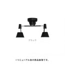 シーリングライト 2灯 レトウィン