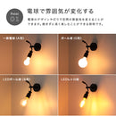 ウォールライト 1灯 エイデン